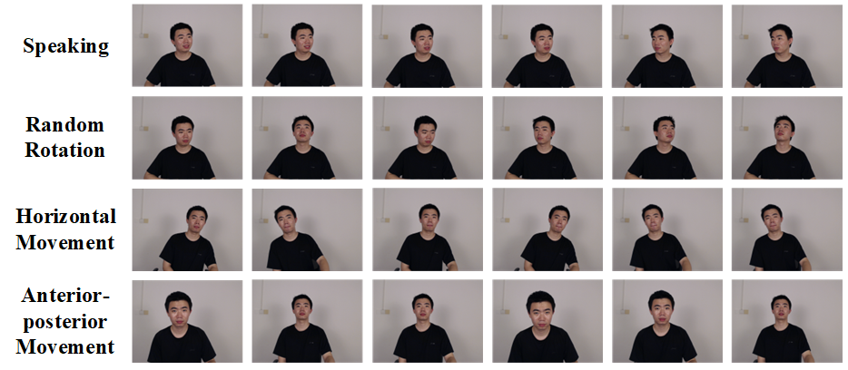 Dataset Overview